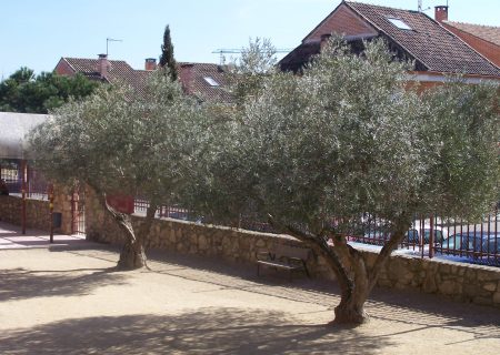 colegio_federico_garcia_lorca